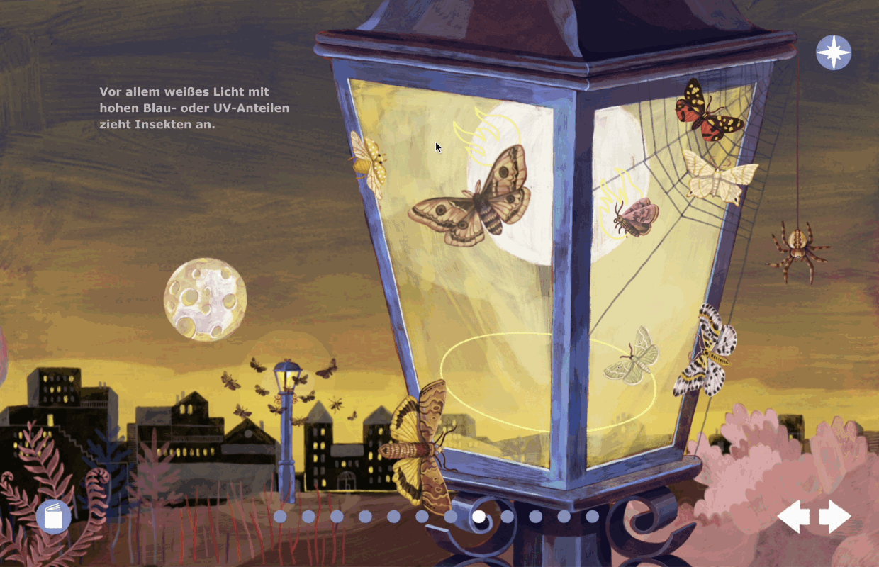 Different moths and bugs fly against the glass of a streetlamp at night. The main text says: "Particularly white light with a high blue or UV content attracts insects. The street lamps turn out to be a deadly trap: according to NABU, an estimated one billion insects die from Germany’s street lamps every summer night." The mouse hovers over one of the moths. A speech bubble appears in which a text describes: "The lamp burns them."